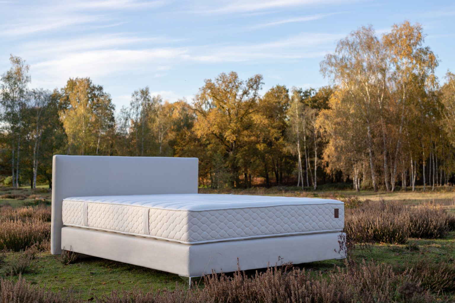 5 ANATOLE Matelas Latex 100% Talalay Anatole
