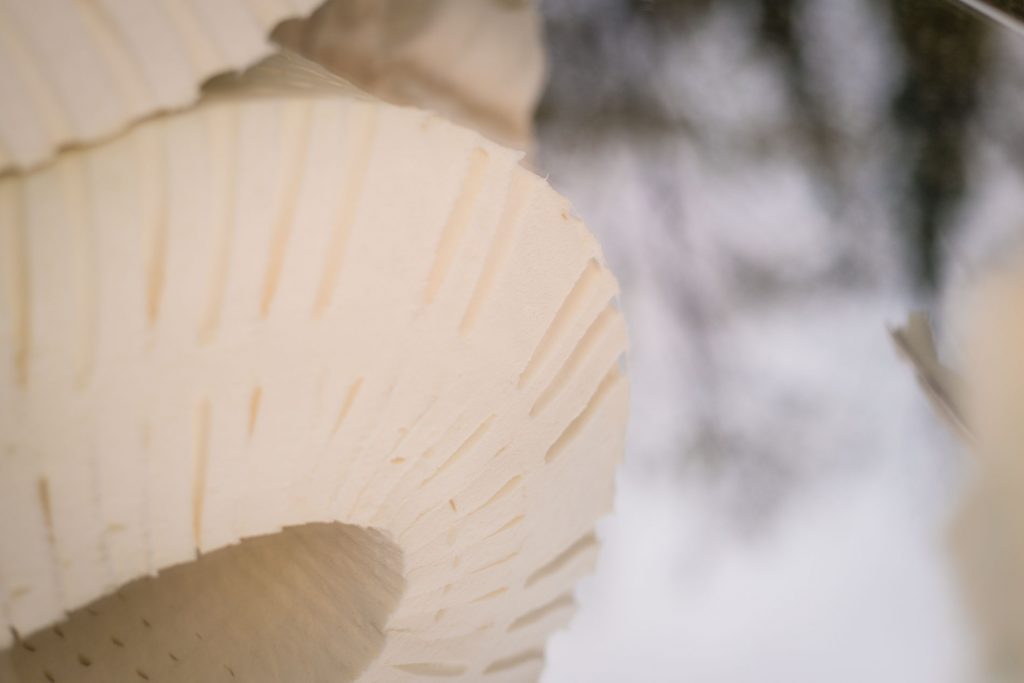 Nappes de latex naturel