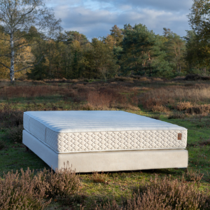 Design sans titre Matelas Latex naturel
