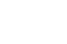 Icône