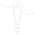 Icône